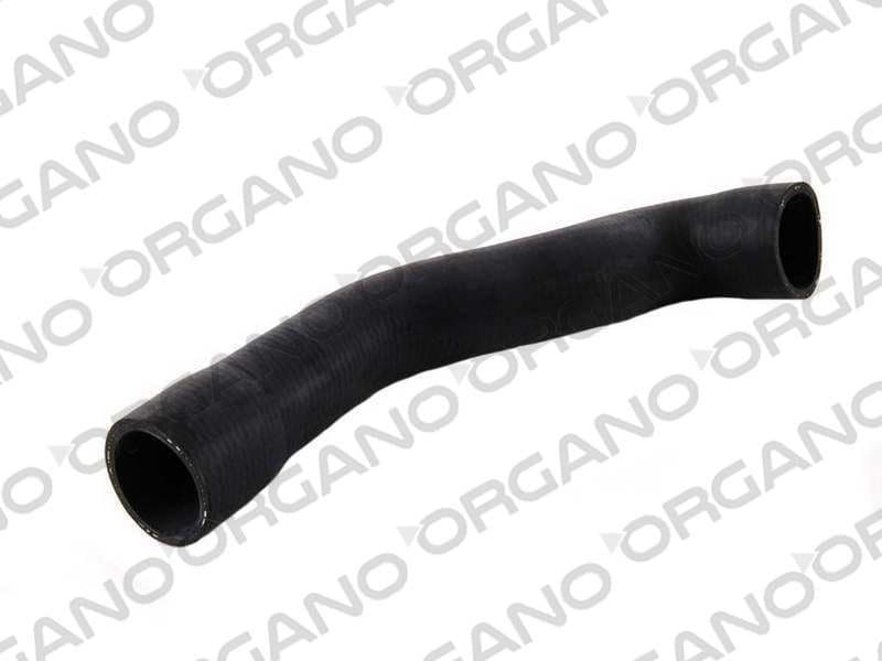 RADYATOR ALT HORTUMU E39 95>04